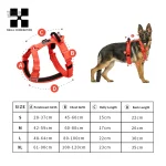 Harnais pour chien confortable et ajustable