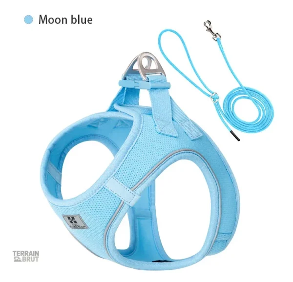 Harnais adapté à tous les chiens