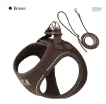 Laisse pour chiens avec visibilité accrue