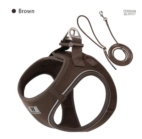 Laisse pour chiens avec visibilité accrue