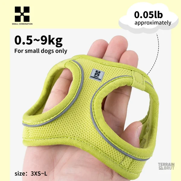 Laisse réfléchissante pour promenades nocturnes