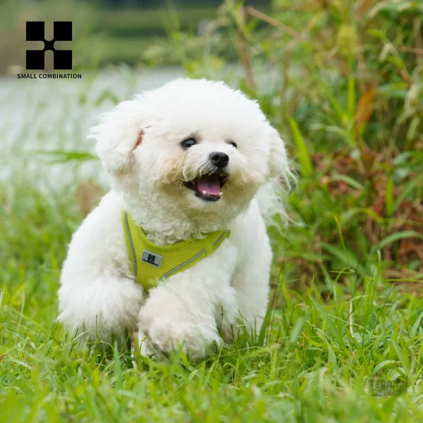 Laisse pour animal de compagnie réfléchissante