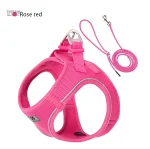 Harnais durable pour utilisation quotidienne