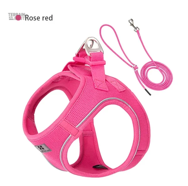 Harnais durable pour utilisation quotidienne