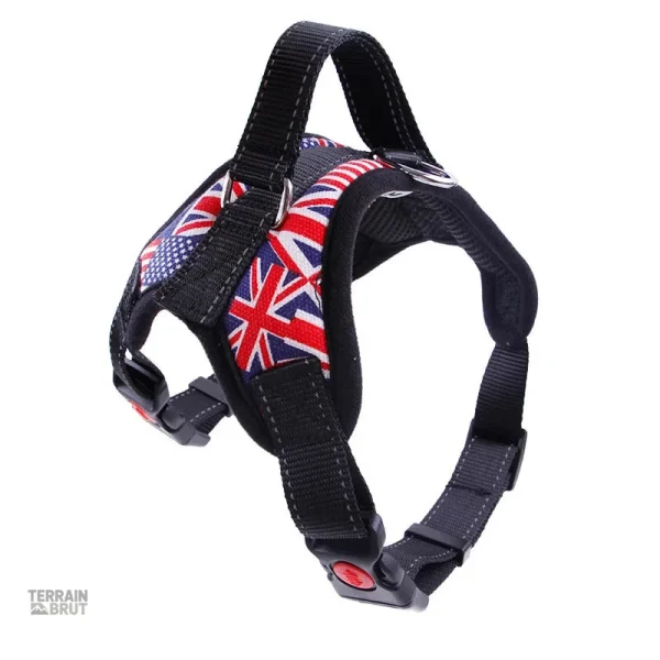 Harnais ergonomique pour chiens