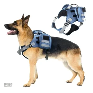 Harnais Tactique Chien avec Poches pour une utilisation pratique