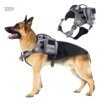 Harnais Chien Tactique avec poches pour accessoires et équipements