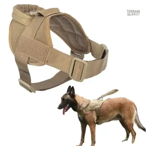 Harnais pour Chien, idéal pour l'entraînement et les randonnées
