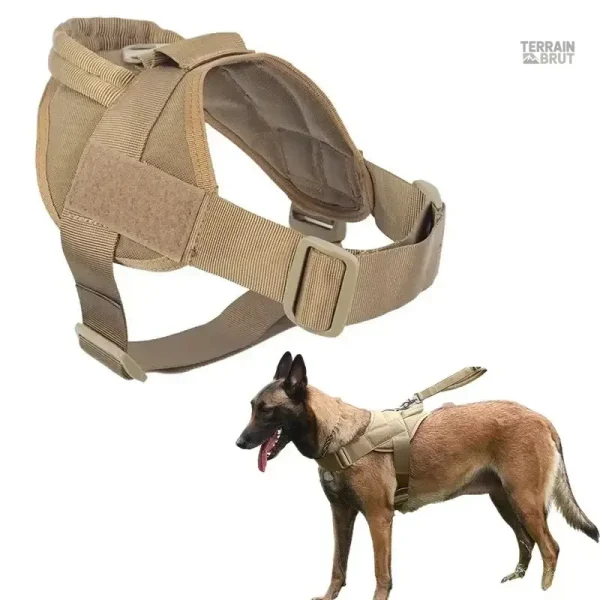 Harnais pour Chien, idéal pour l'entraînement et les randonnées