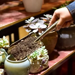 Pelle de survie pour creuser et entretenir le potager
