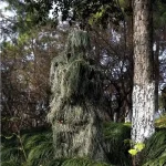 Vêtements camouflage Ghillie pour immersion dans l'environnement naturel